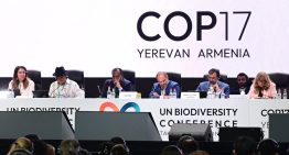 Casi 200 países adoptan nuevos acuerdos en la COP17 de la ONU para frenar pérdida de biodiversidad