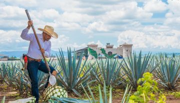Proyectan complejo turístico de 60 millones de dólares frente al Paisaje Agavero de Jalisco
