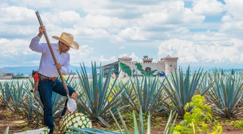 Proyectan complejo turístico de 60 millones de dólares frente al Paisaje Agavero de Jalisco