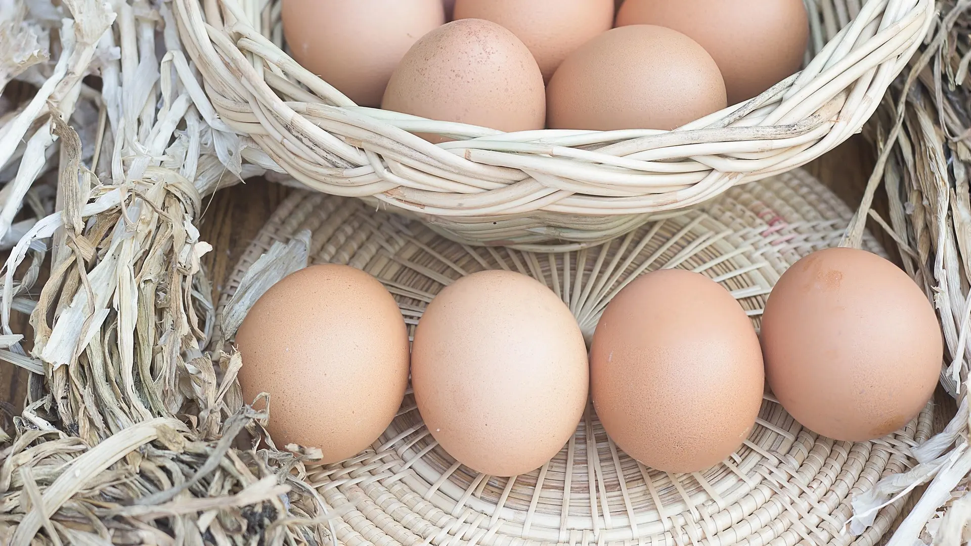 David Céspedes, experto en longevidad: «Comer 4 huevos al día el resto de tu vida solo te traerá beneficios»