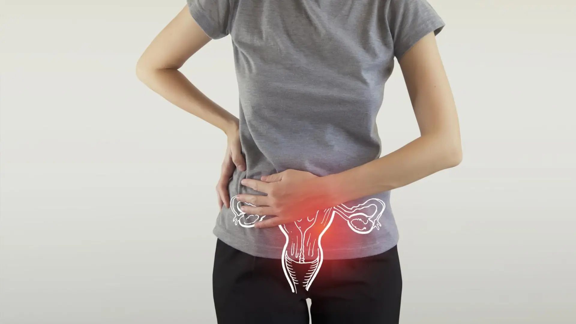 El ovario no se 'jubila' con la menopausia: sigue activo décadas después